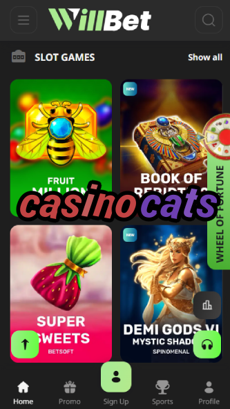 Casino Cats - Feline-Themed Casino Games-www.bdqngd.com